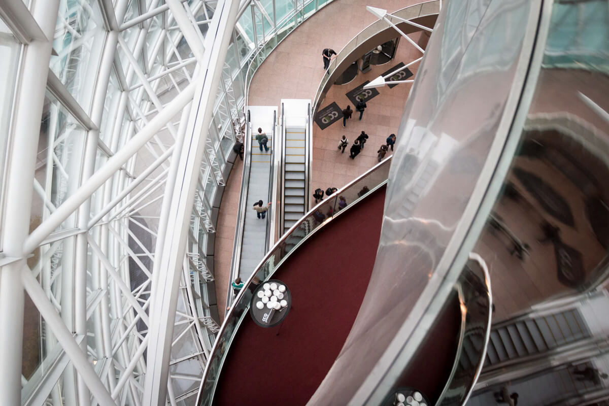 Rendezvényfotózás során készített madárlátta kép.